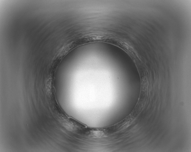 X0000064760509200602241920