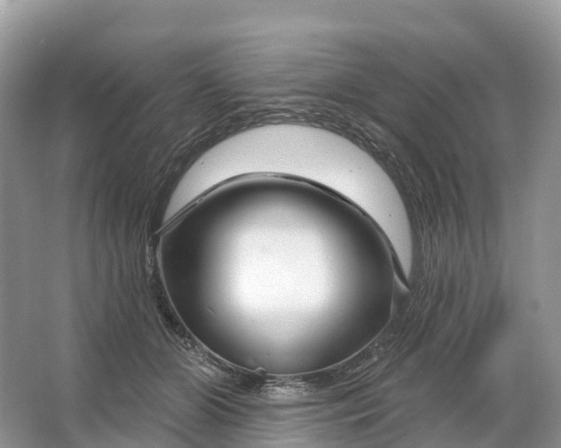 X0000064760510200602241920