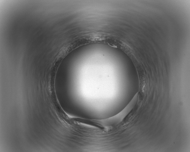 X0000064760512200602241920
