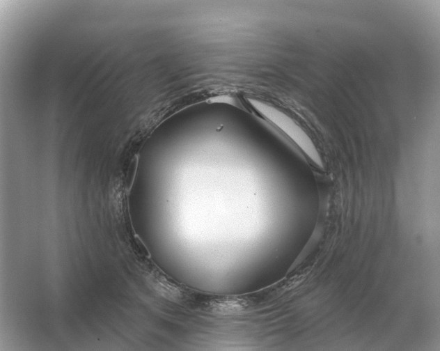 X0000064760513200602241920