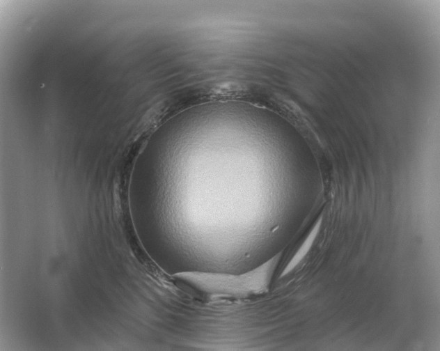 X0000064760520200602241920