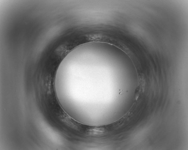 X0000064760525200602241920