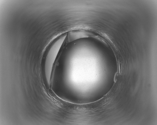 X0000064760531200602241918