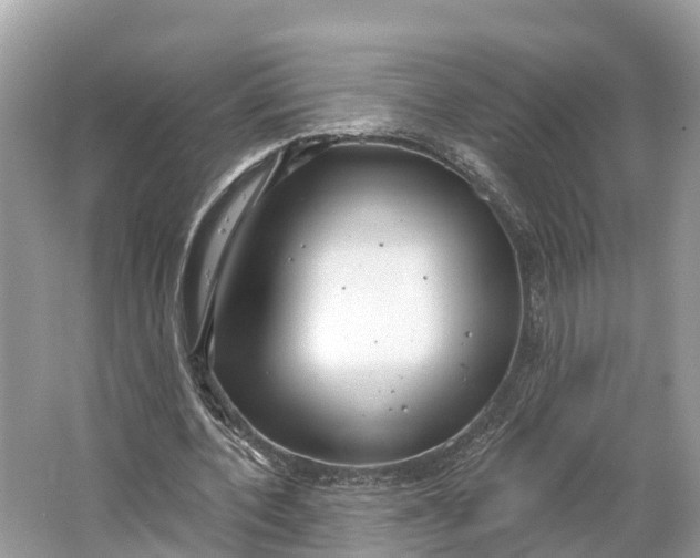X0000064760532200602241918