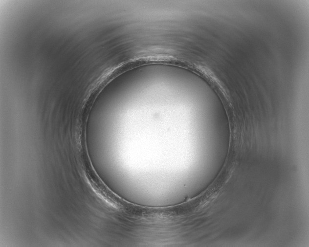 X0000064760533200602241918