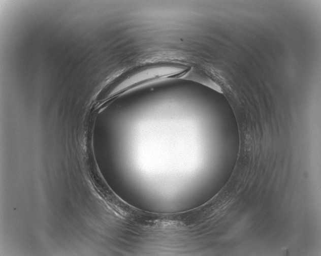 X0000064760539200602241919