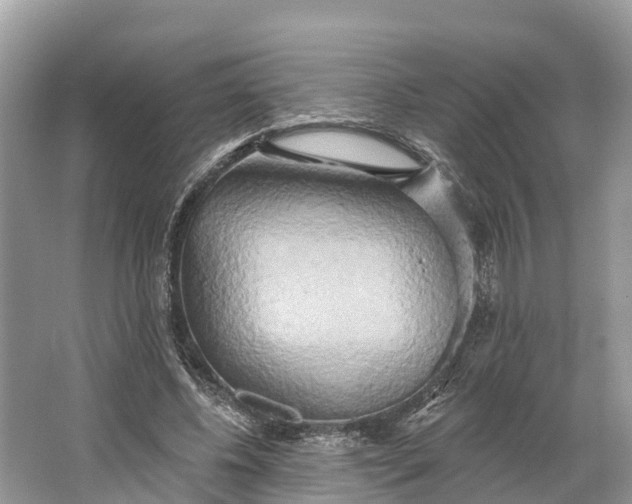 X0000064760540200602241919