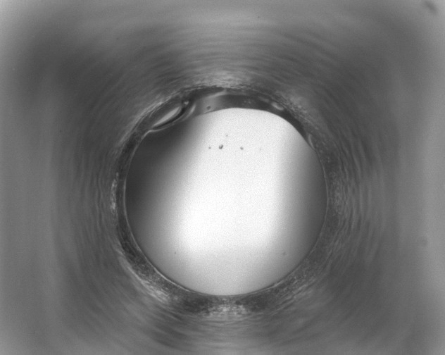 X0000064760543200602241919