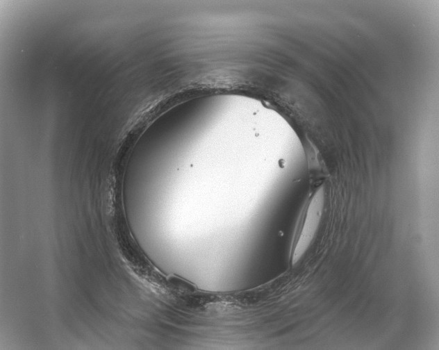 X0000064760544200602241919