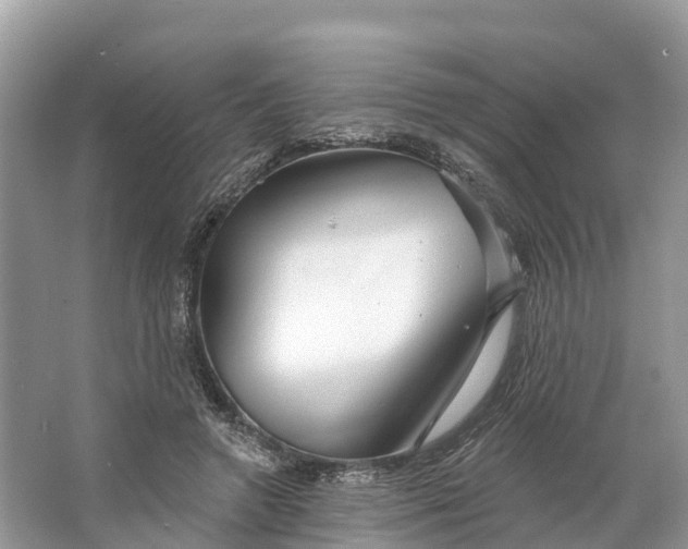X0000064760546200602241919