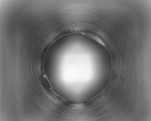X0000064760548200602241919