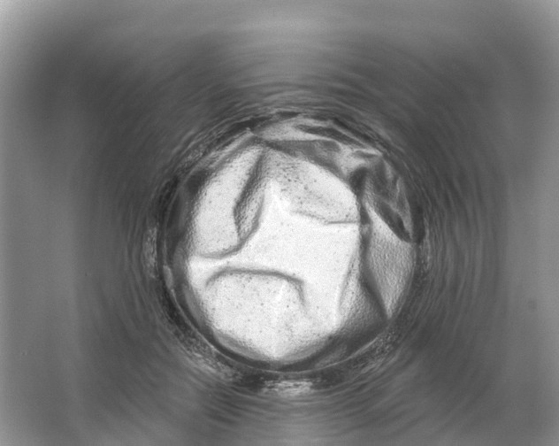 X0000064760554200602241919