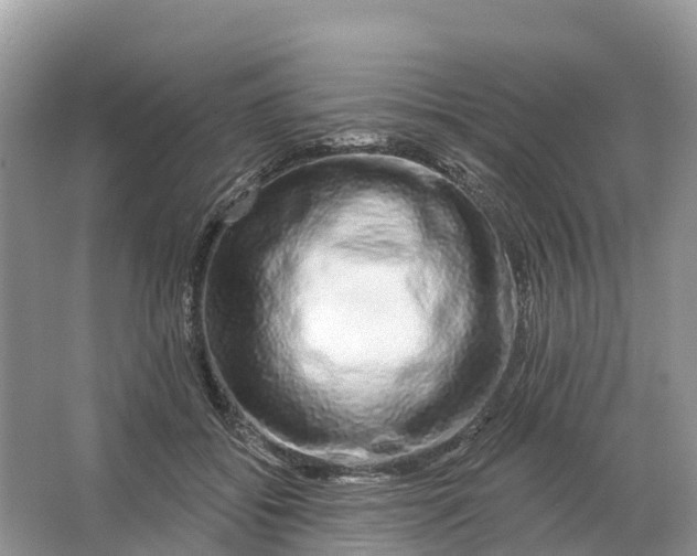 X0000064760556200602241919