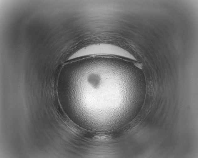 X0000064760557200602241919
