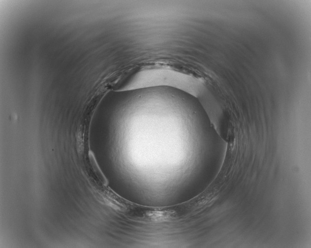 X0000064760558200602241919
