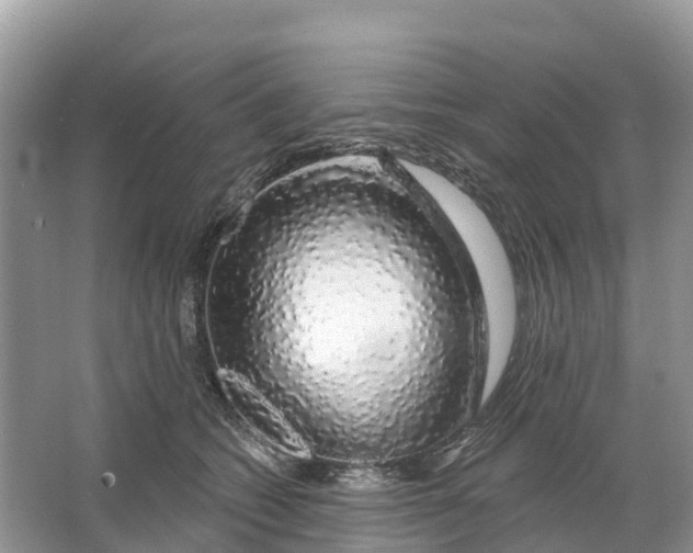 X0000064760562200602241919