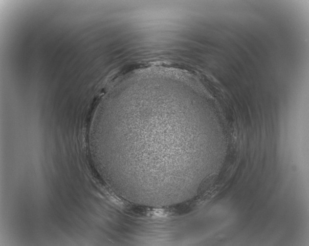 X0000064760565200602241919