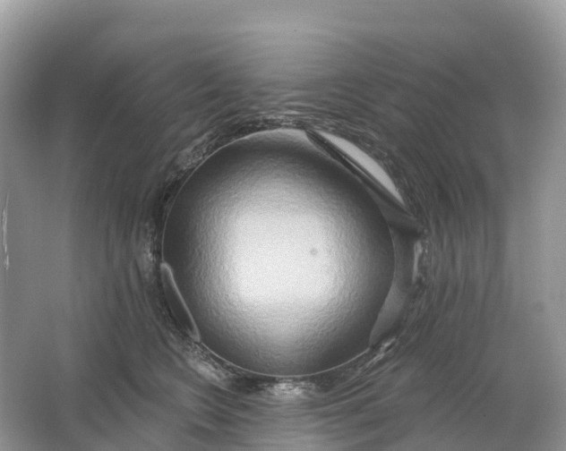 X0000064760566200602241919