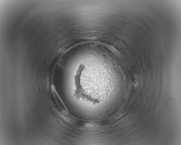 X0000064760568200602241919