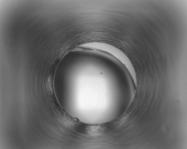 X0000064760575200602241919