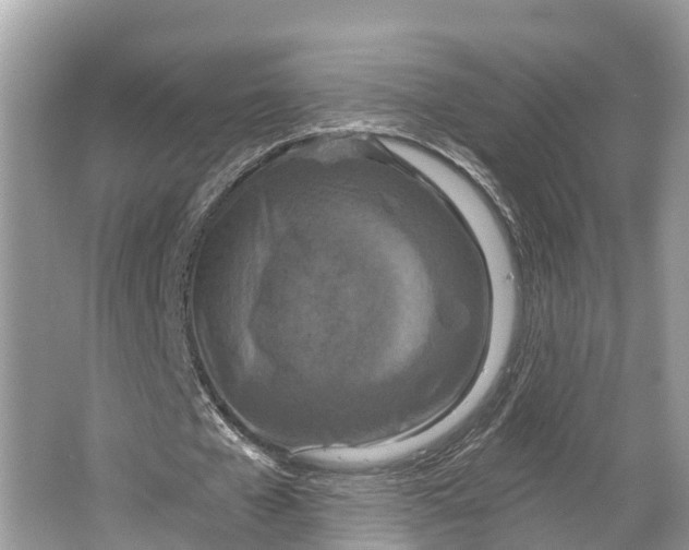 X0000064760577200602241918