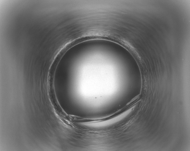 X0000064760580200602241918