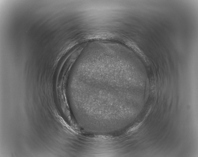X0000064760585200602241918