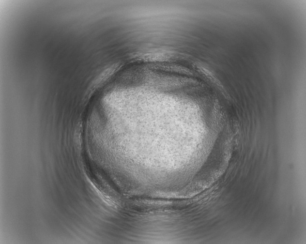 X0000064760586200602241918