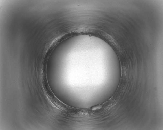 X0000064760588200602241918