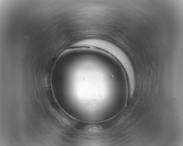 X0000064760597200602241918