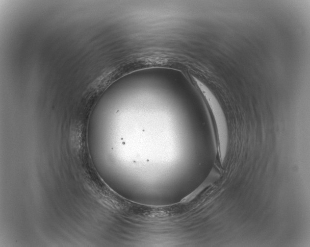 X0000064760600200602241918