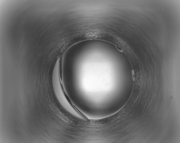 X0000064760601200602241918
