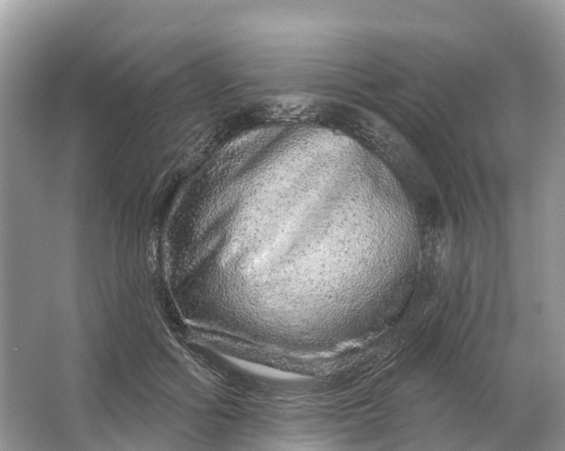 X0000064760602200602241918
