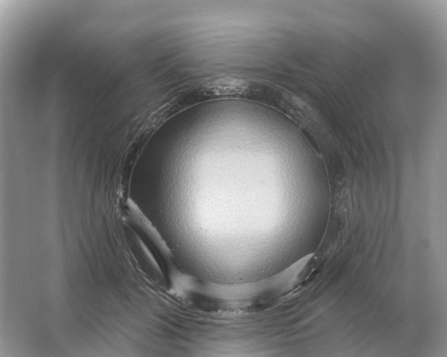 X0000064760604200602241918