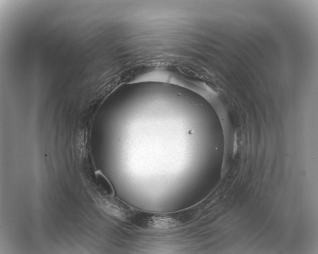 X0000064760605200602241918