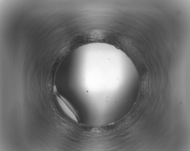 X0000064760608200602241917
