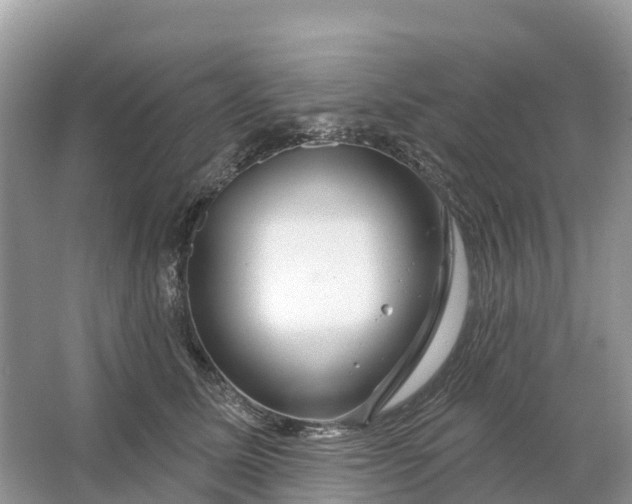 X0000064760611200602241917