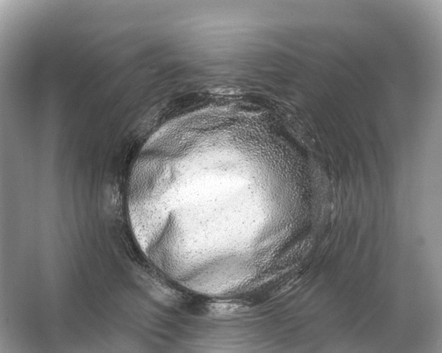 X0000064760614200602241917