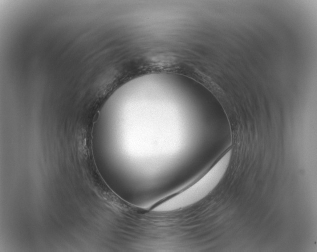 X0000064760615200602241917