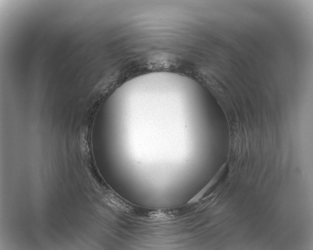 X0000064760616200602241917