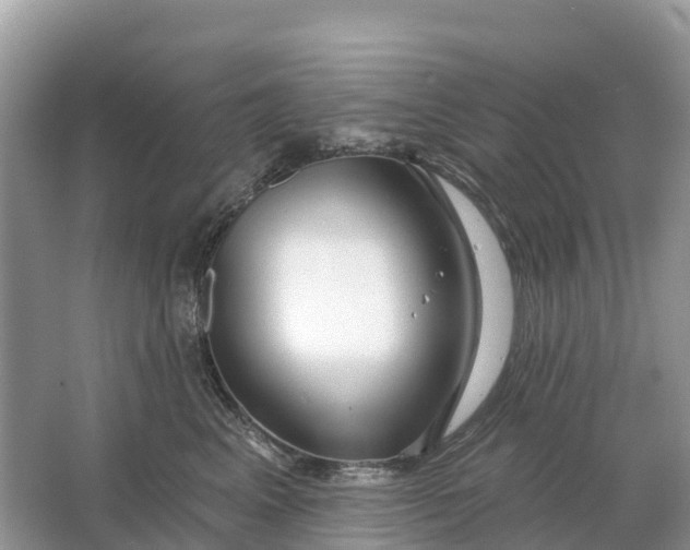 X0000064760617200602241917