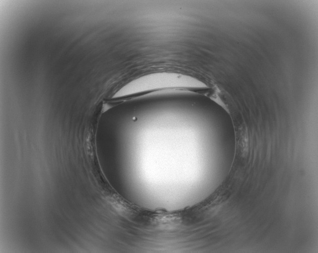 X0000064760619200602241917