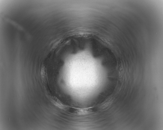 X0000064760623200602241917