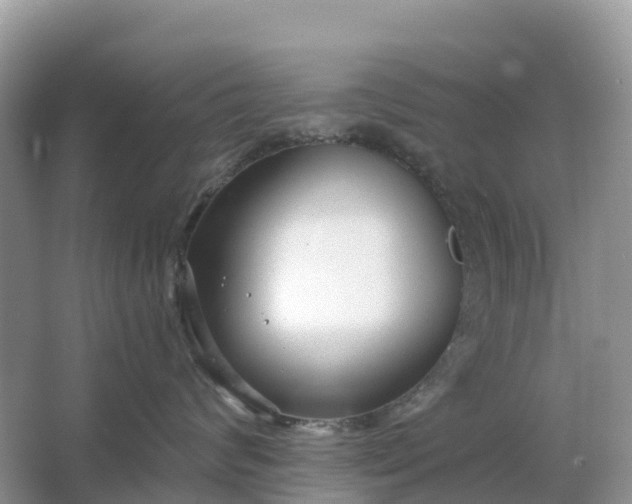 X0000064760624200602241917