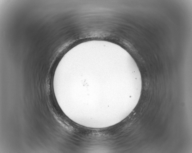 X0000064760632200602241916