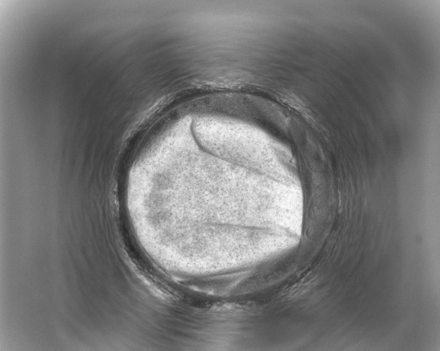 X0000064760634200602241916