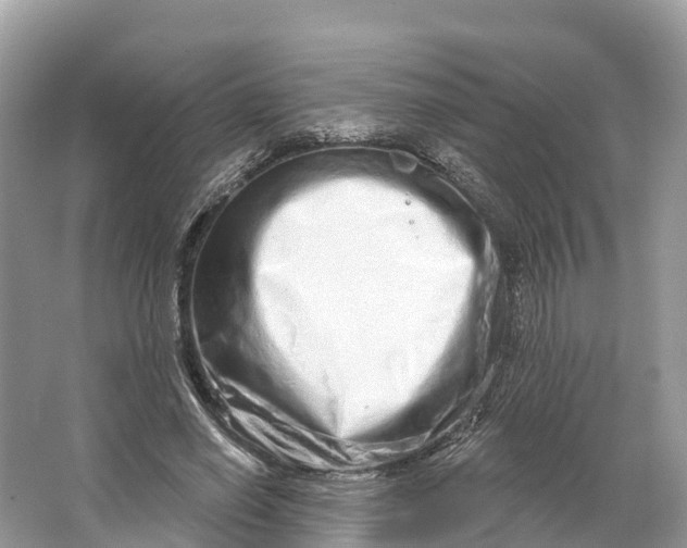X0000064760638200602241916