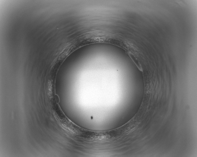 X0000064760646200602241916