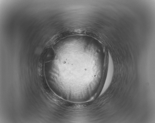 X0000064760656200602241917