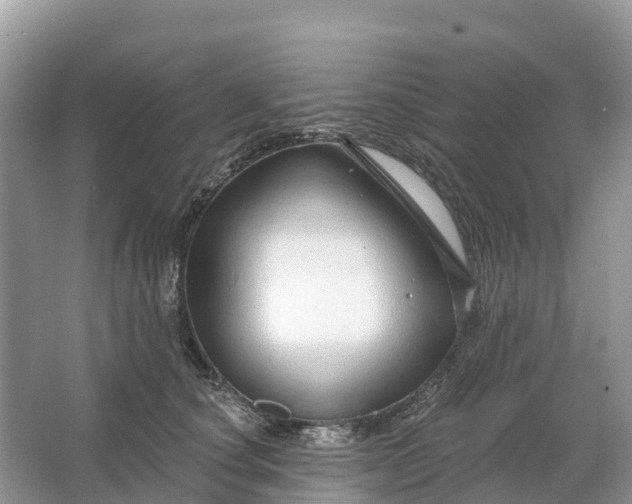 X0000064760660200602241917
